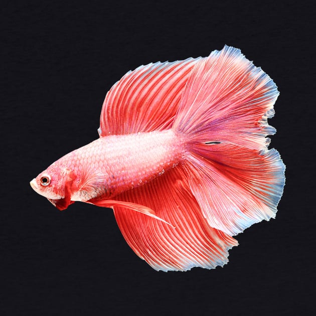 Red halfmoon by MACIBETTA